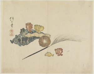 (Schelpen), c. 1830 door Hogyoku